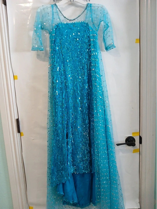 Other - Girl size 9 10 11  Elsa dress
